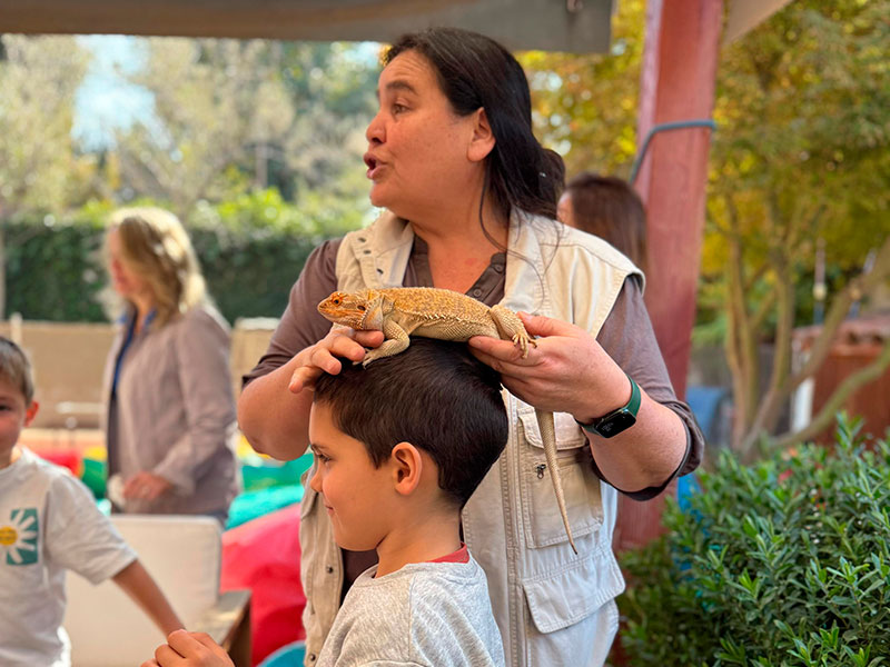 Animales exóticos para cumpleaños infantiles en Santiago
